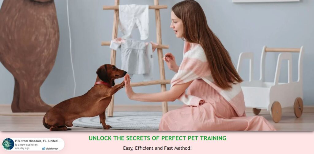 training your pets site